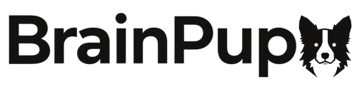BrainPupLabs